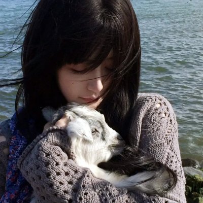 杀手猴